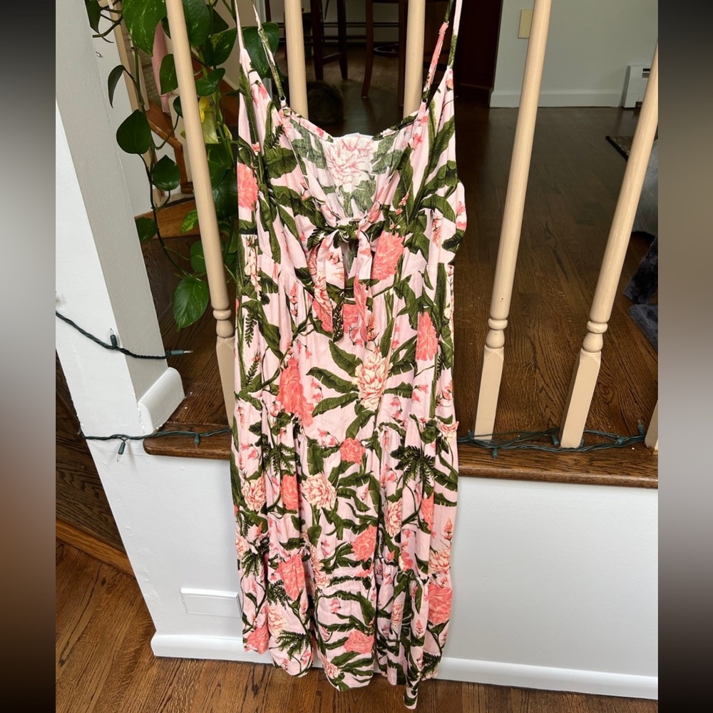 NWT Target x Aguabendita Dress